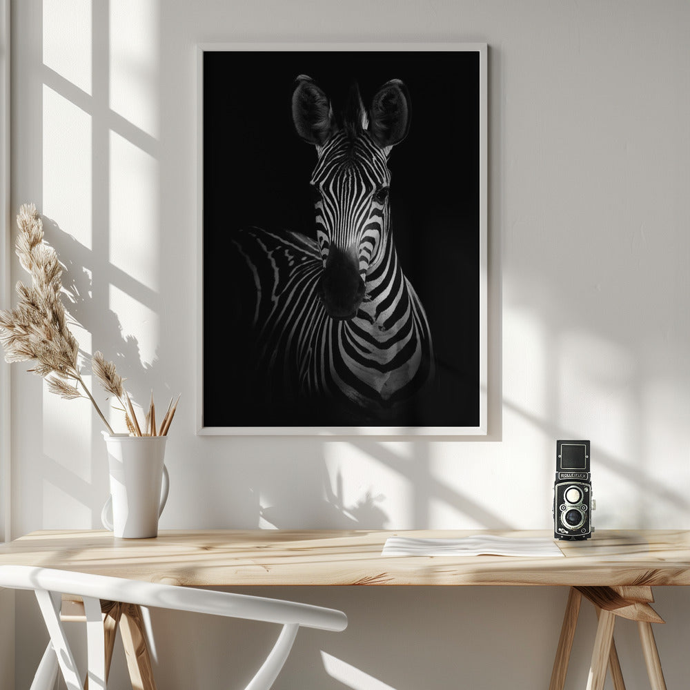 Wall Art The Zebra