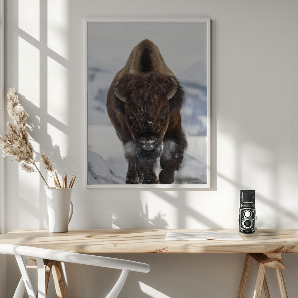 Wall Art Bison Incoming
