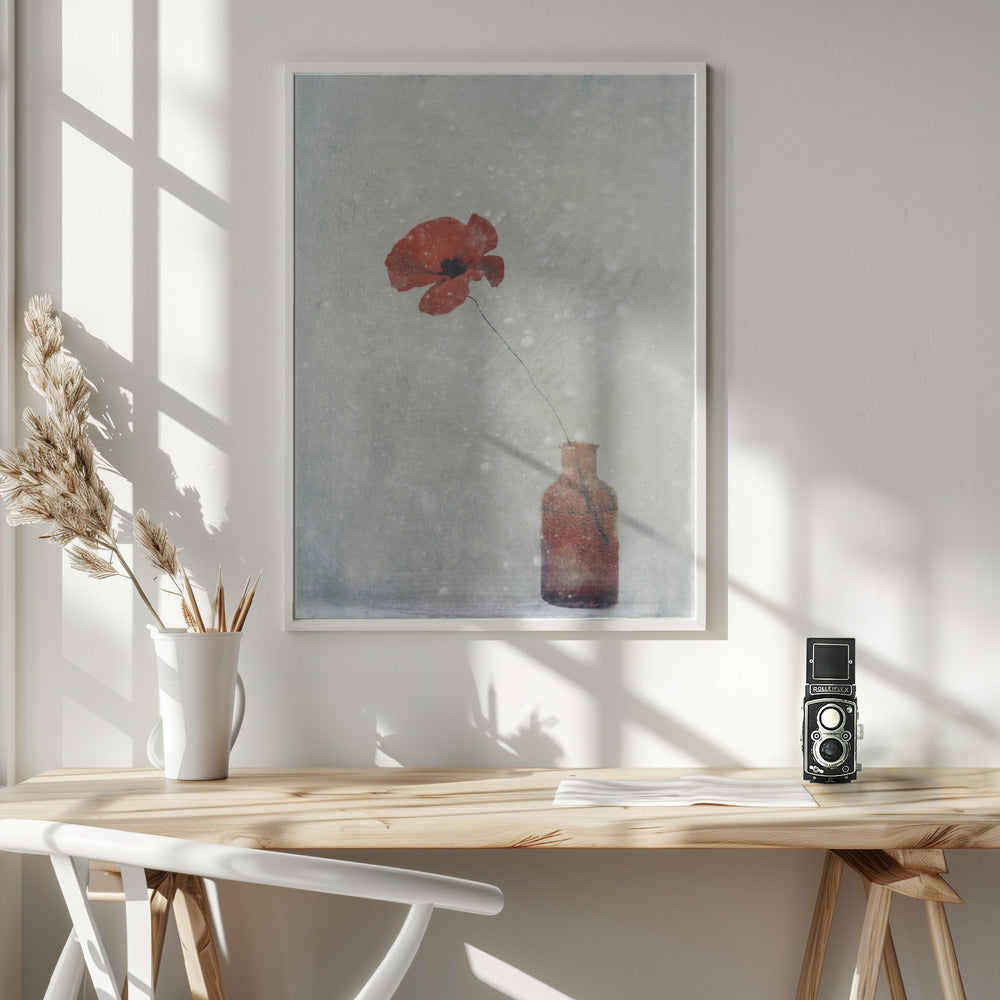 wall art Winter Poppy