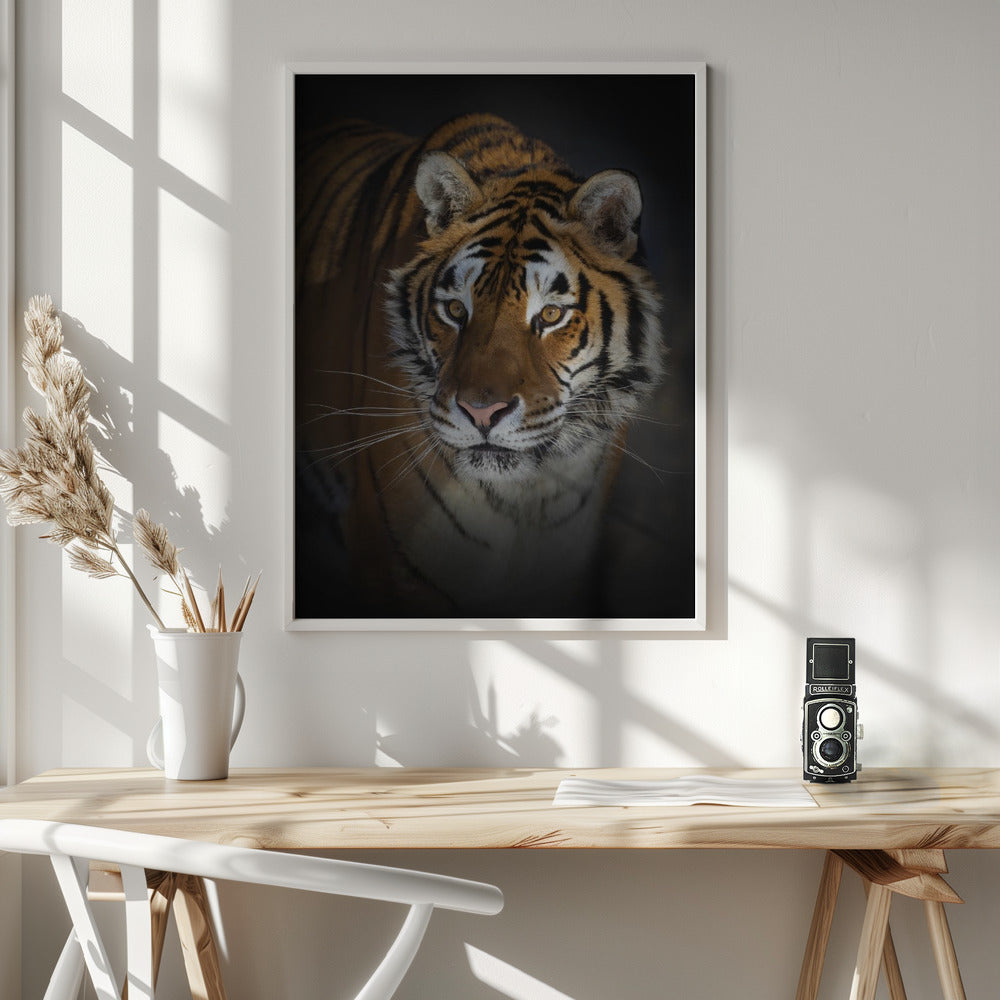 Wall art Portrait of a Siberian Tiger