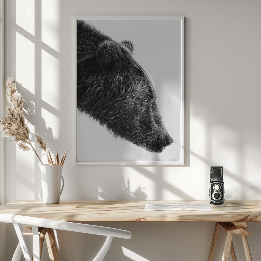 Wall art The Salmon Catcher