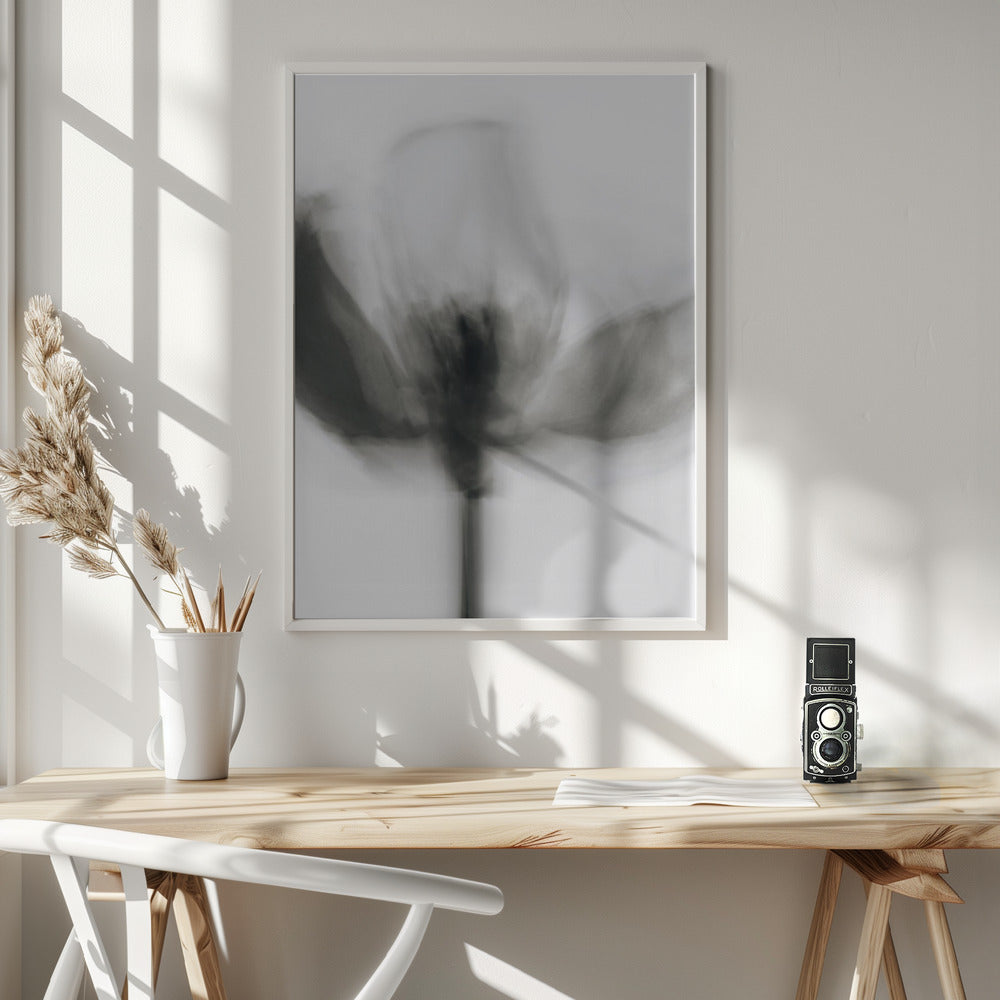 Wall art Mono Tulip