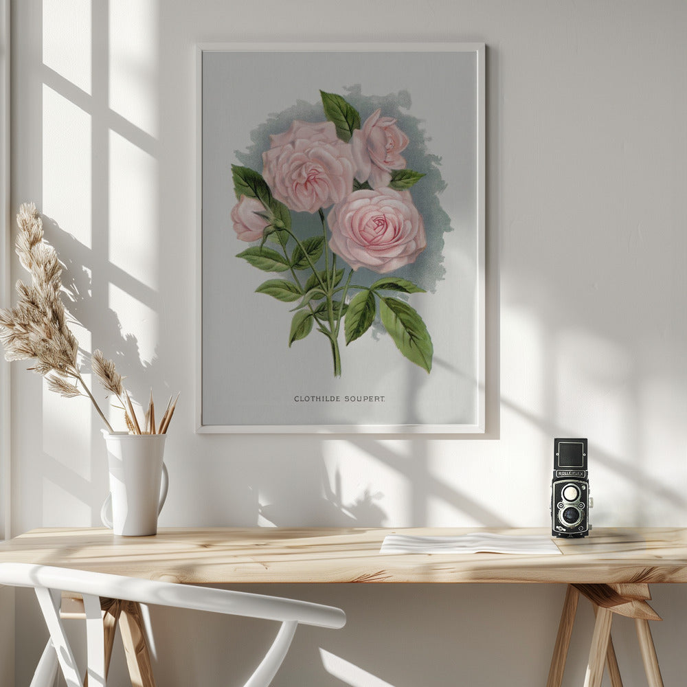 Wall Art Pink Rose, Clothilde Soupert Lithograph