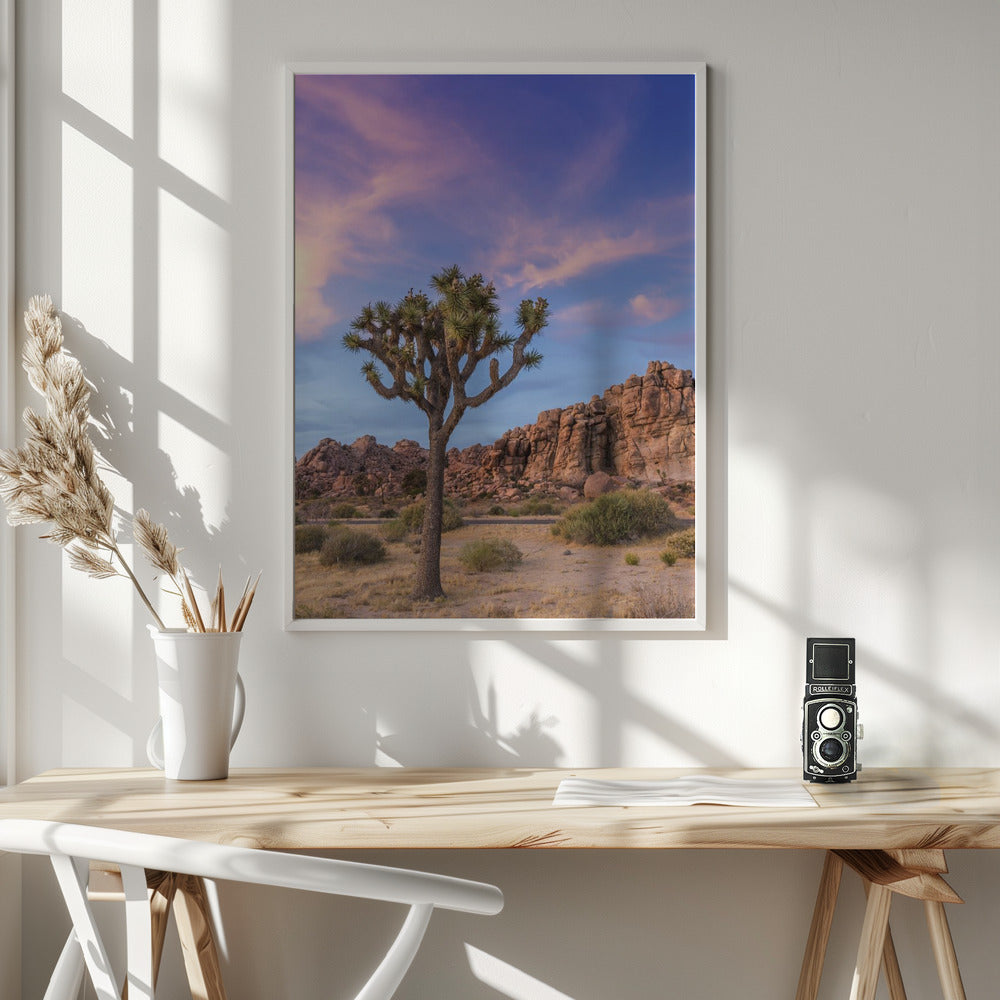 Wall art Joshua Tree Evening Atmosphere