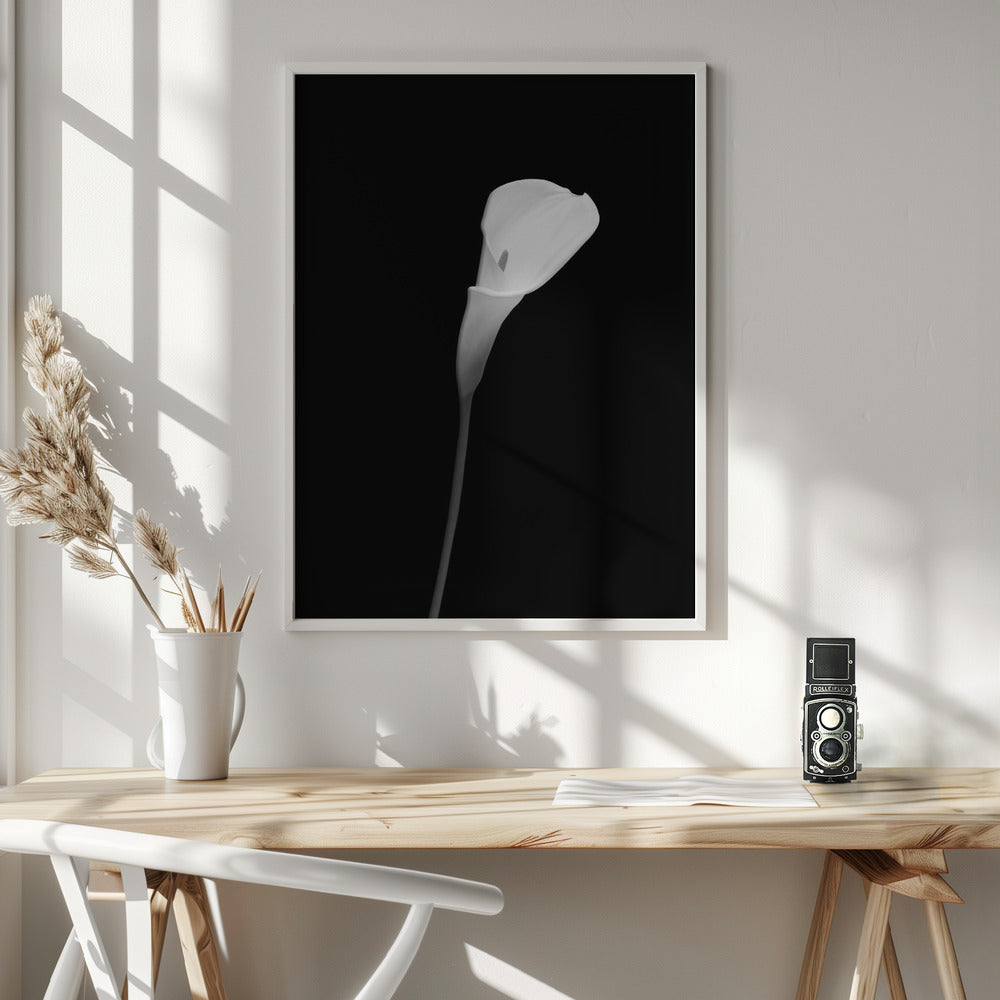 Wall art Calla | dark design