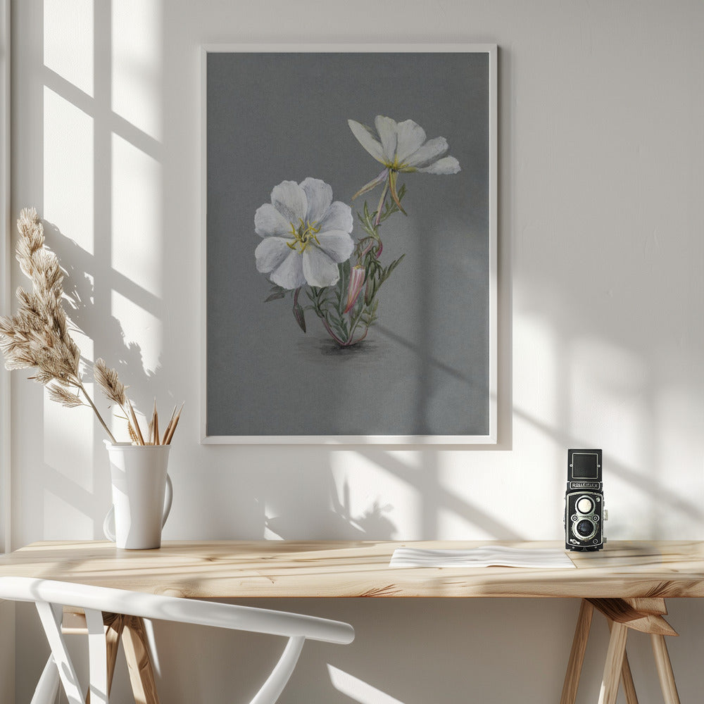 Wall Art Giant Helleborine (1880)