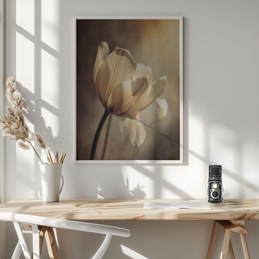 Wall art Pastel Tulip