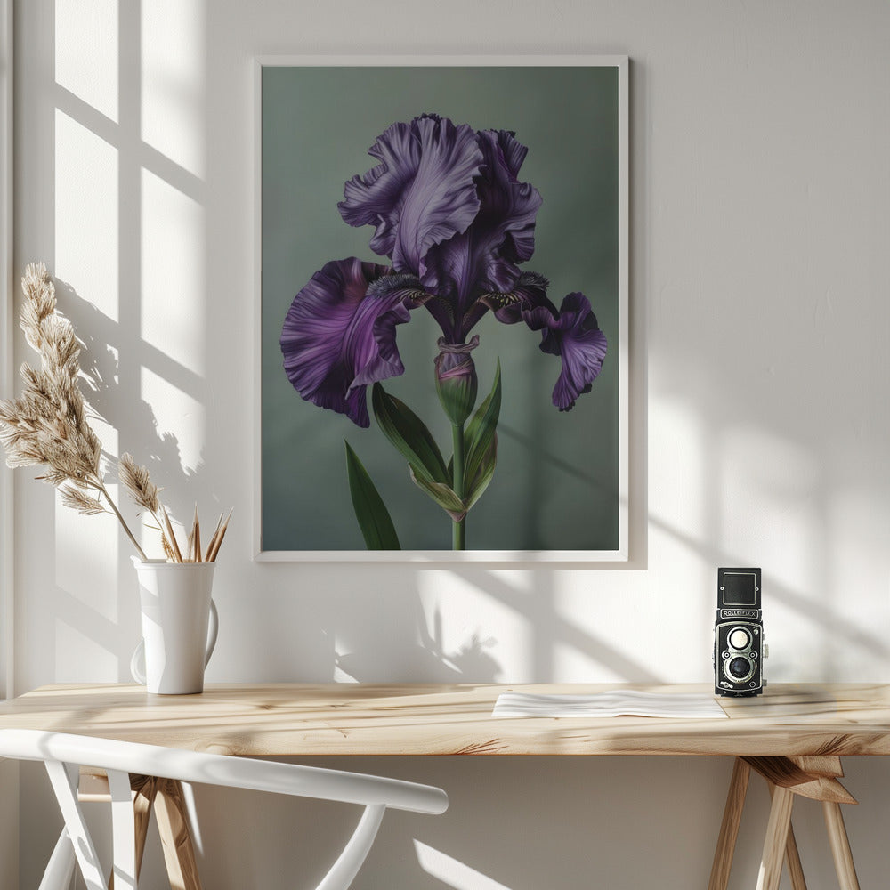 Wall art Iris Fl 10