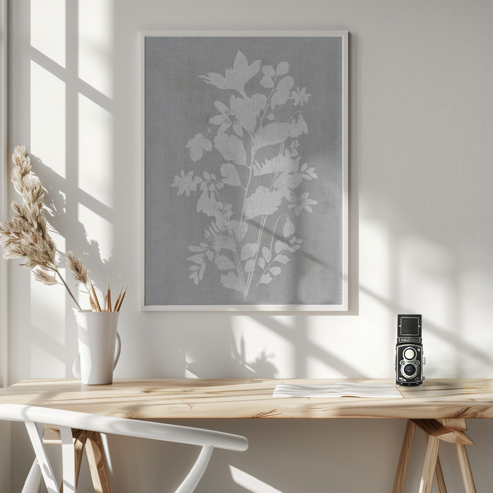 Wall art Botanical Illustration 2