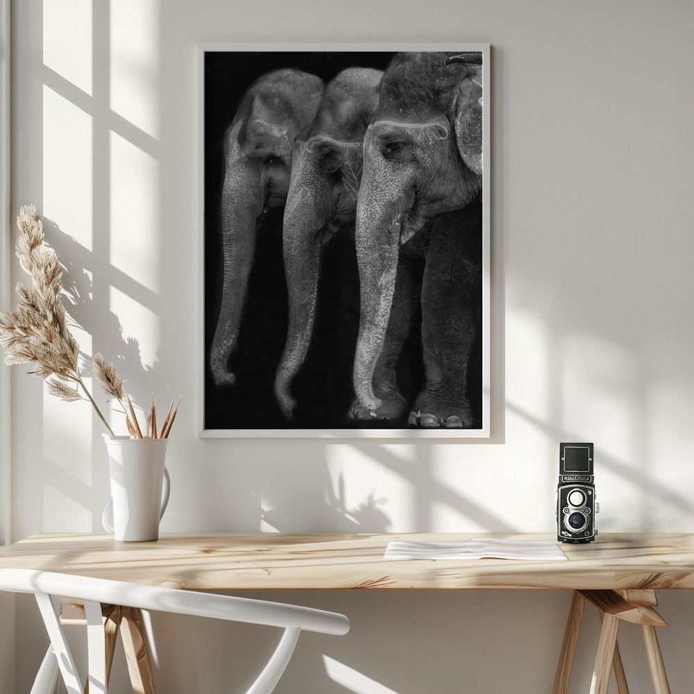 Wall art Nature\'s great masterpiece, an elephant; the only harmless great thing ...