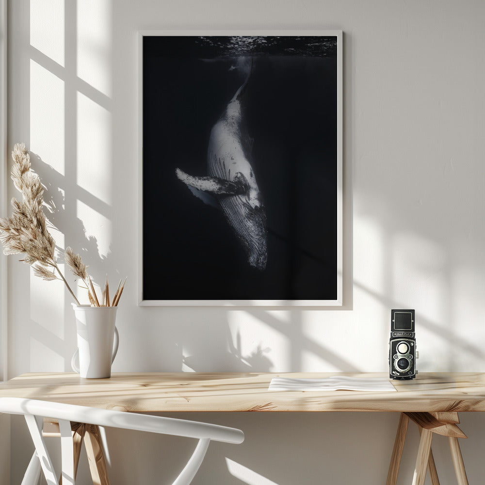 Wall Art-Black Whale