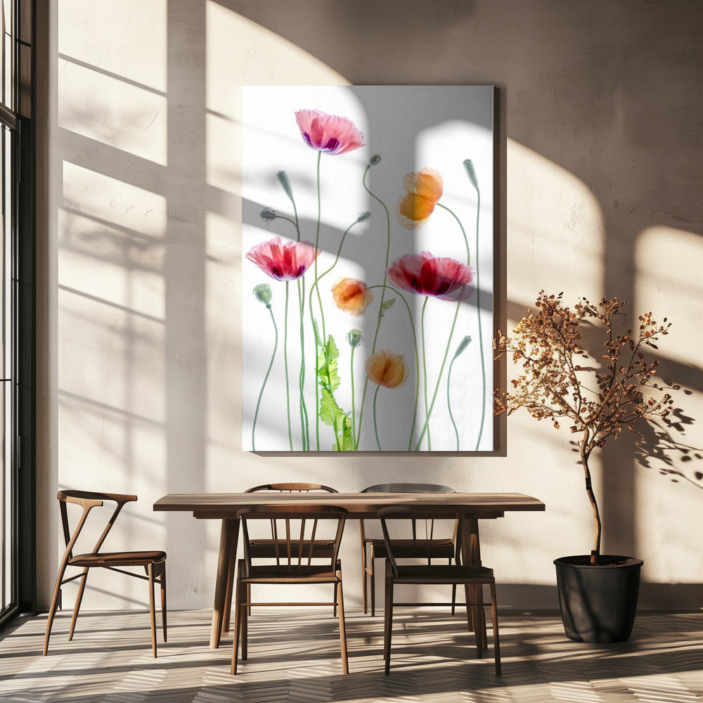 Wall art Poppies1