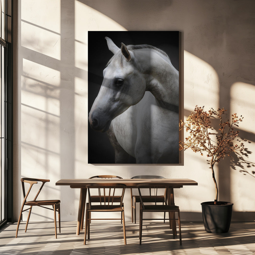 Wall art Maggie. Horse