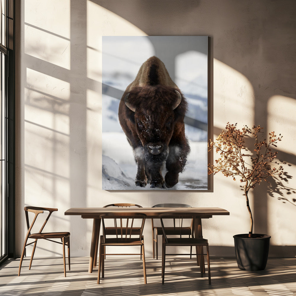Wall Art Bison Incoming