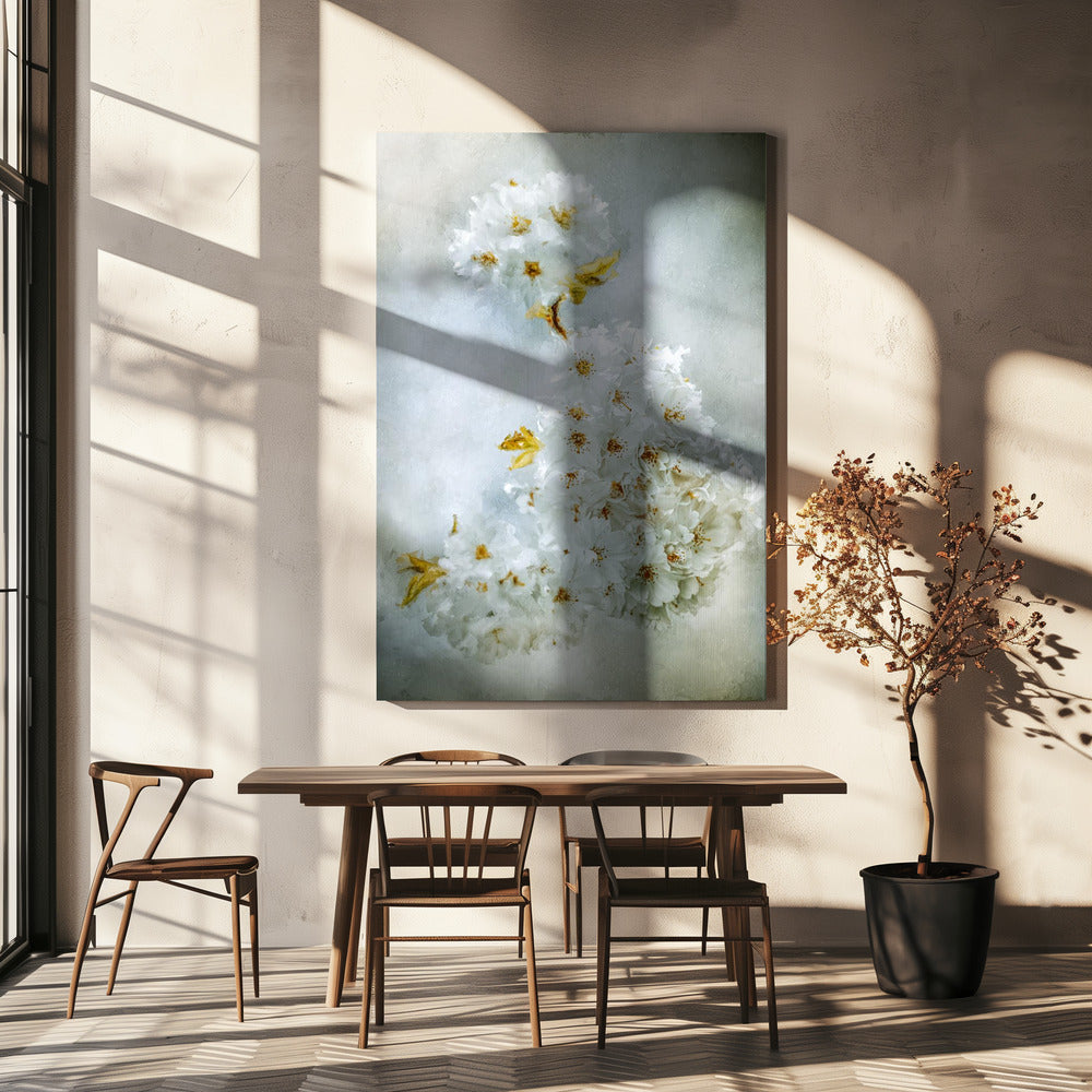 Wall Art Cherry blossoms