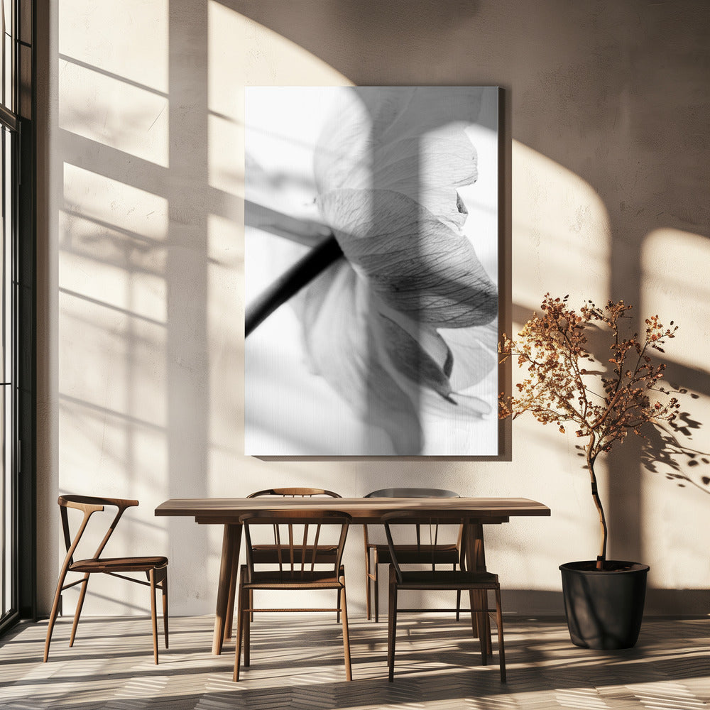 Wall art Blooming Flower Canvas Print