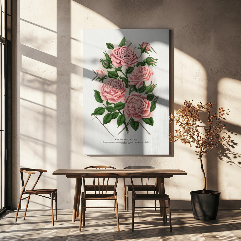 Wall Art Pink Rose, Gem of the Prairie Lithograph