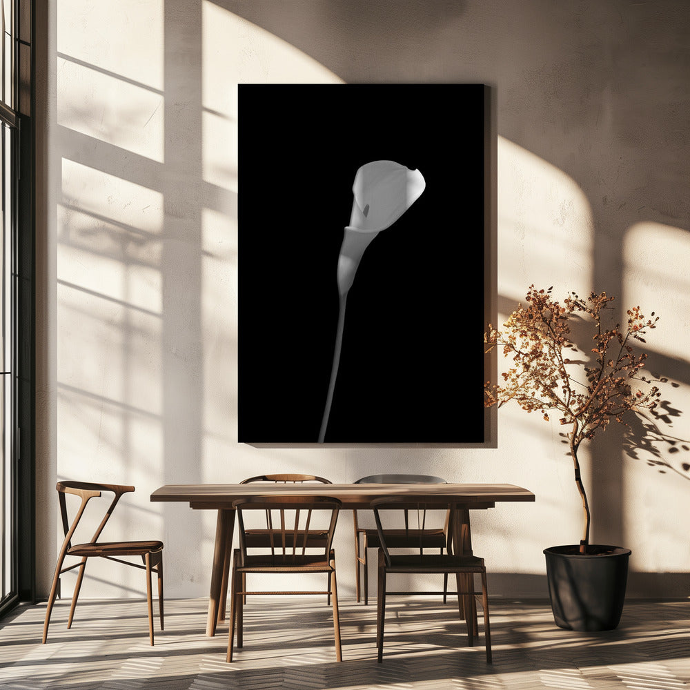Wall art Calla | dark design