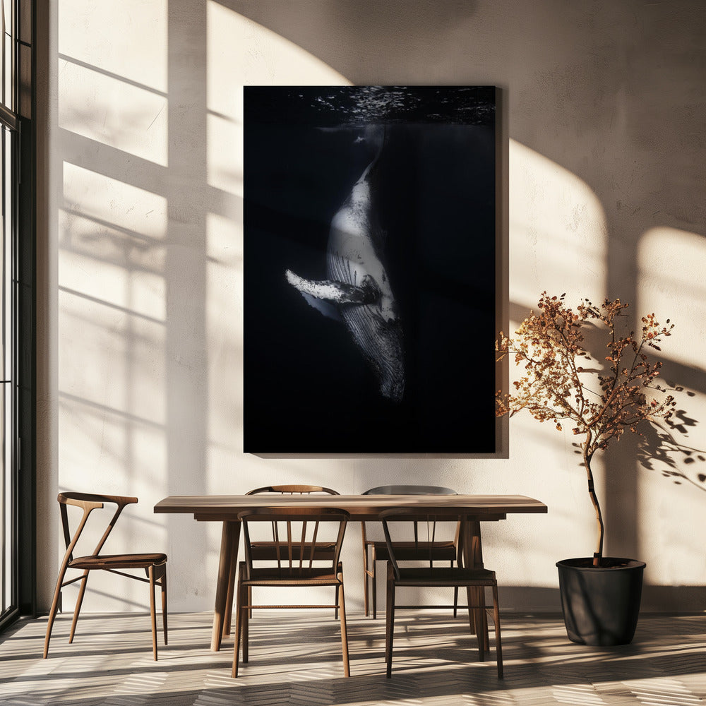Wall Art-Black Whale