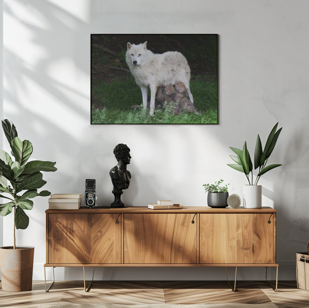 Wall art Arctic Wolves - Remus and Romulus