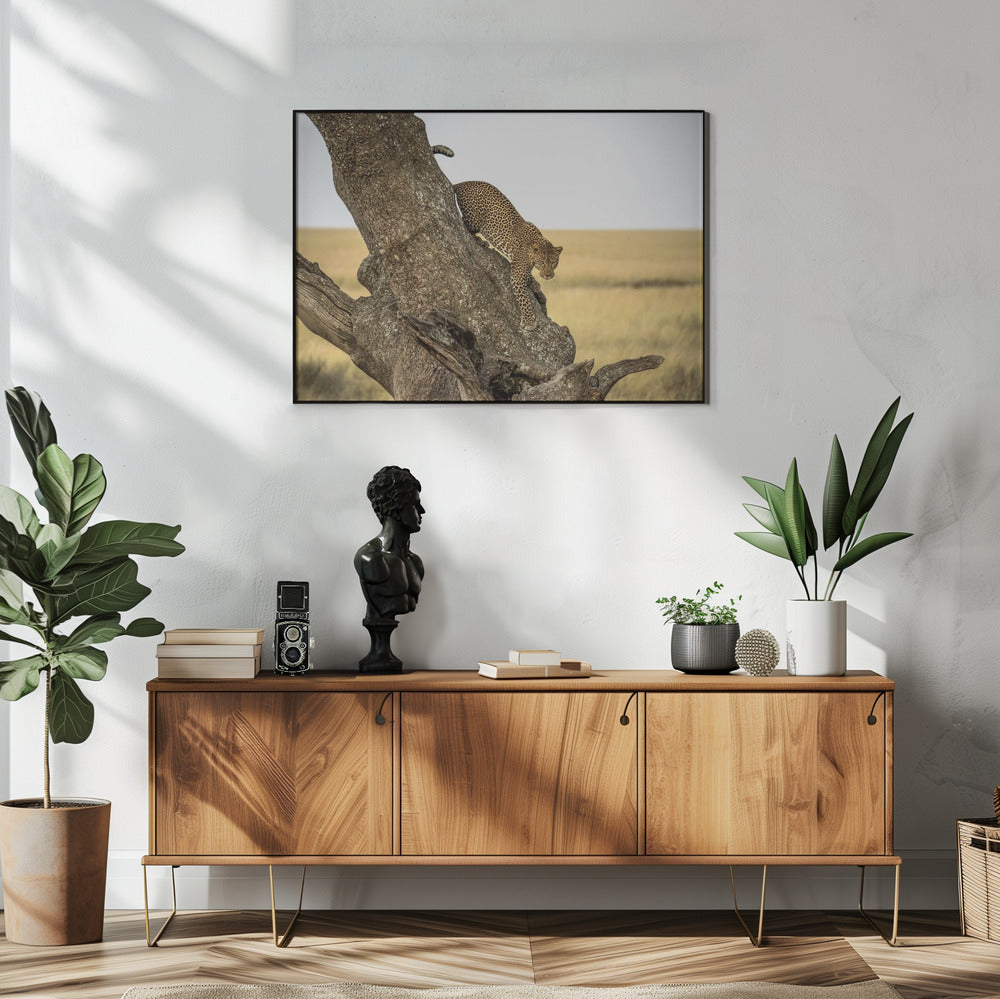 Wall art Leopard - Serengheti, Tanzania