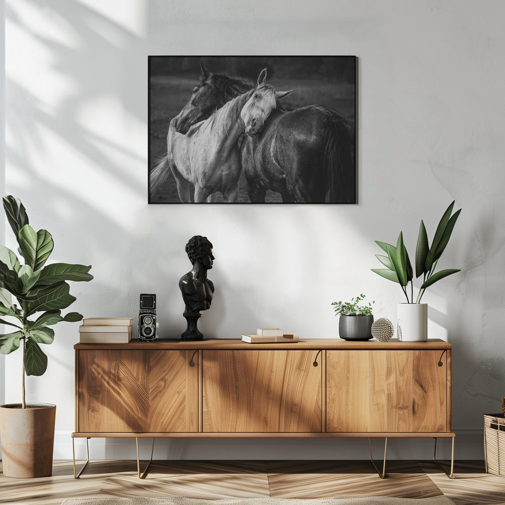 Wall art Warm rain Horses Canvas Print