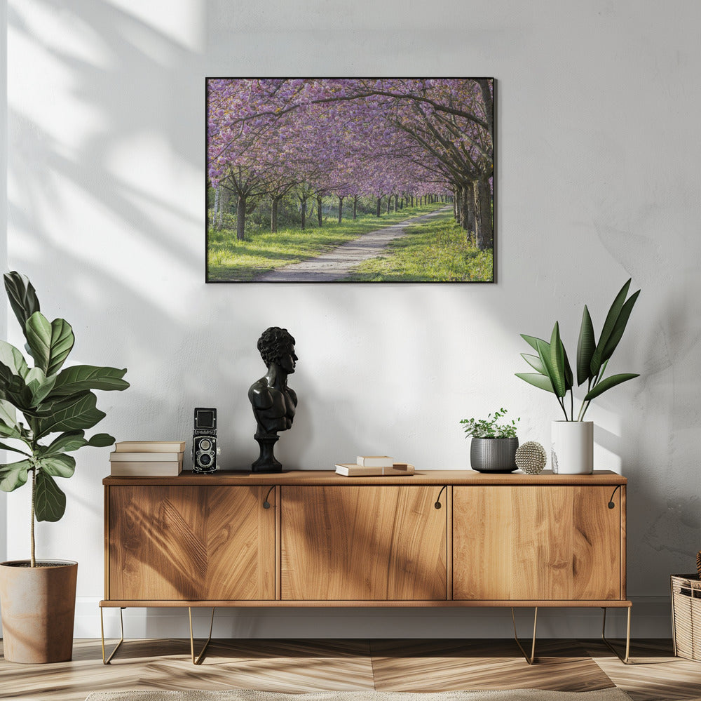 Wall art Idyllic cherry blossom alley