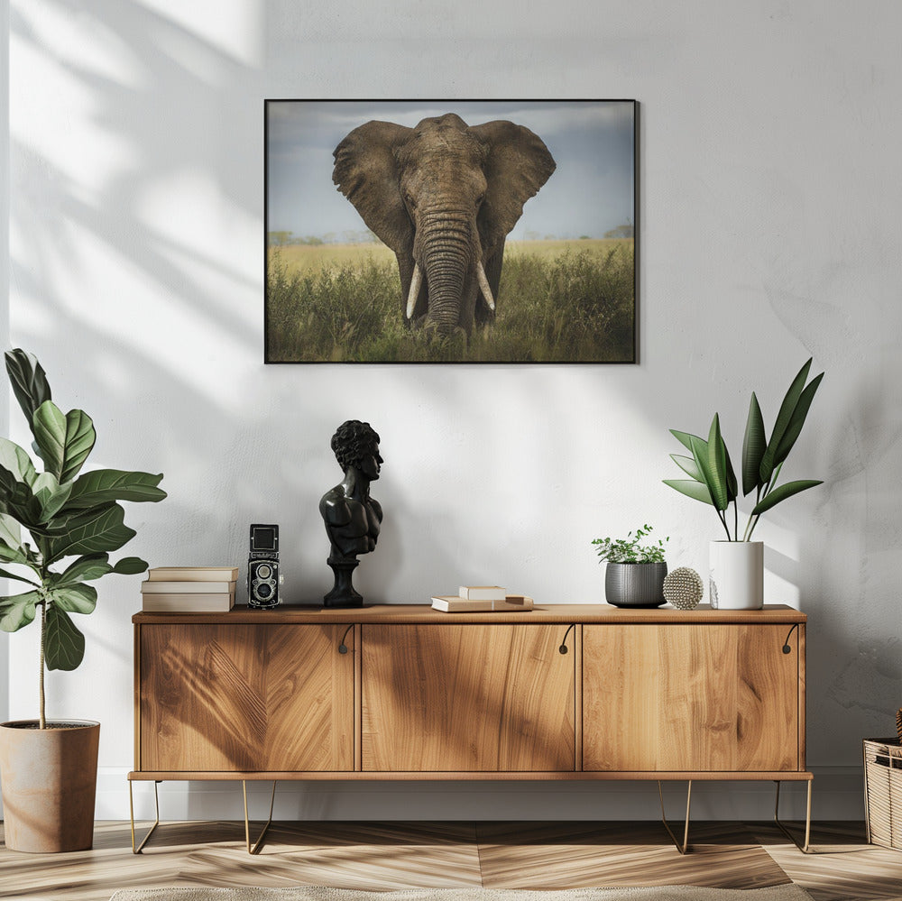 Wall art Encounters in Serengeti. Elephant
