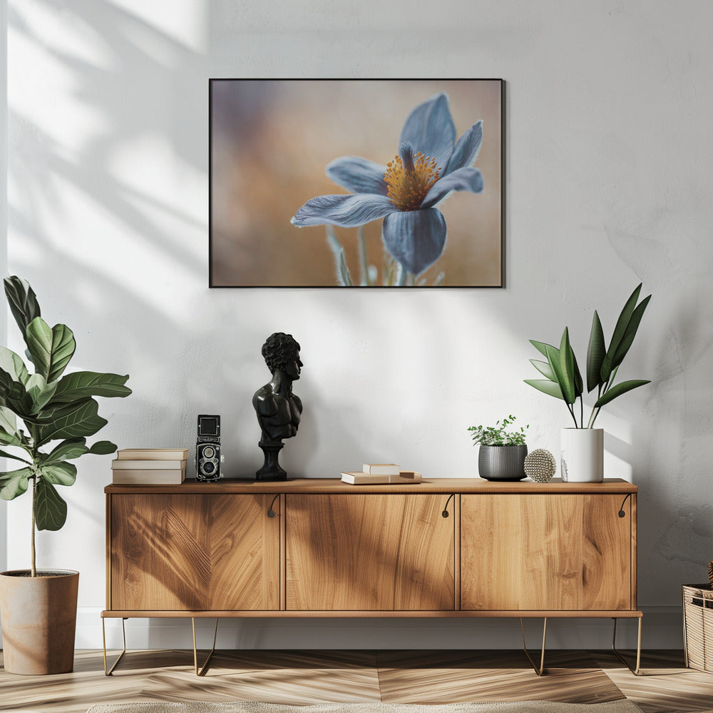 Wall art Pasque. Floral