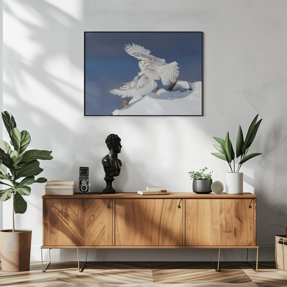 Wall art Snowy Owl in Flight