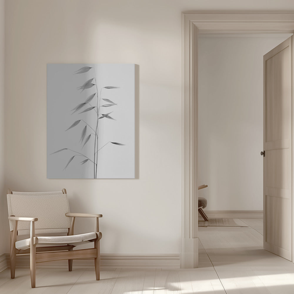 Wall art Sharpness of the nature