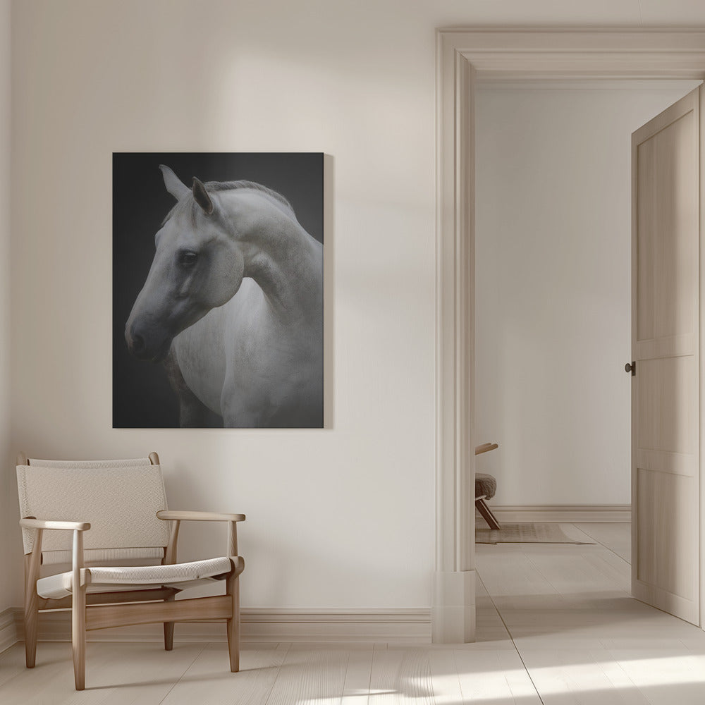 Wall art Maggie. Horse