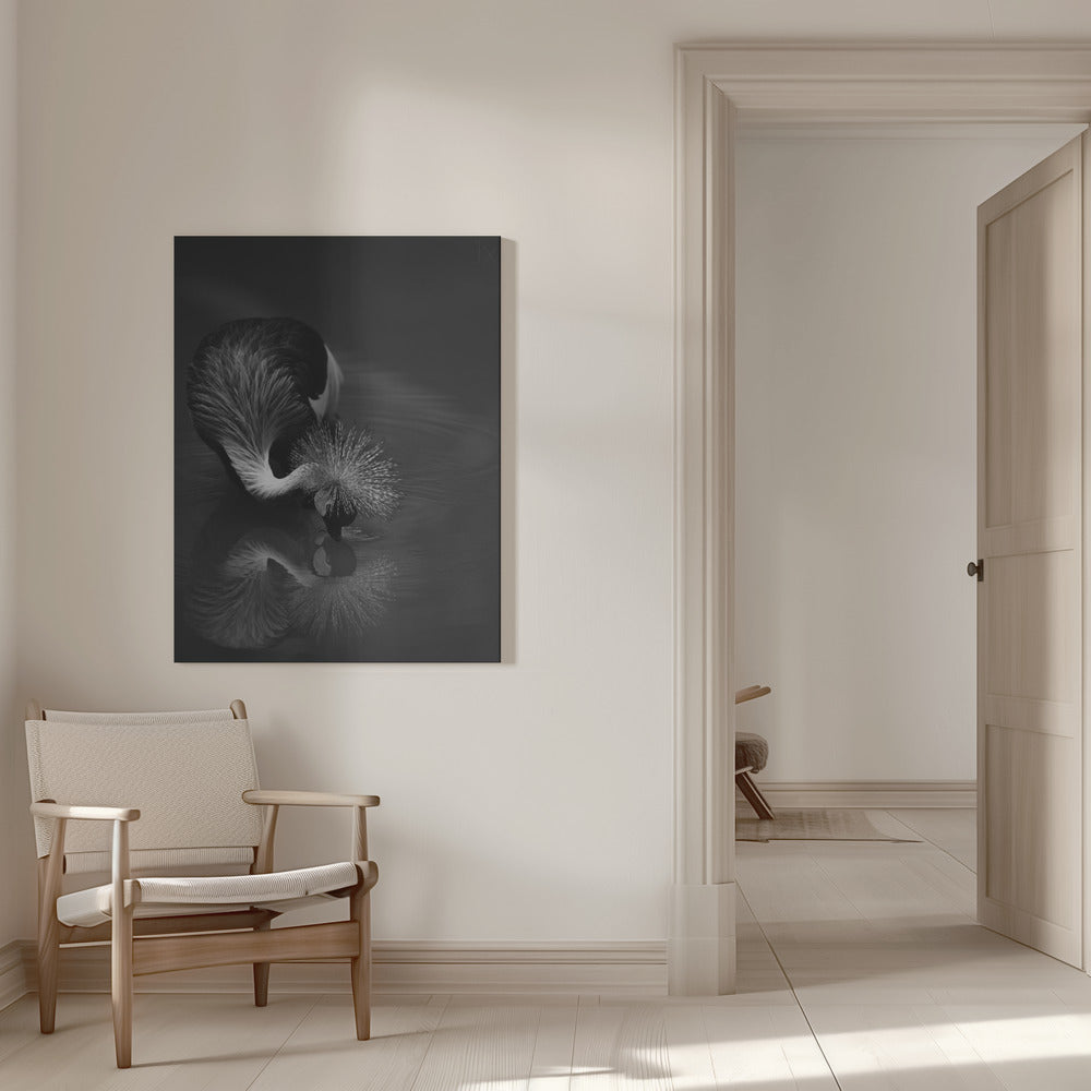 Wall art The reflection