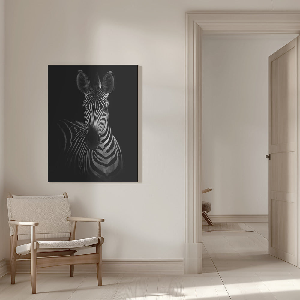 Wall Art The Zebra