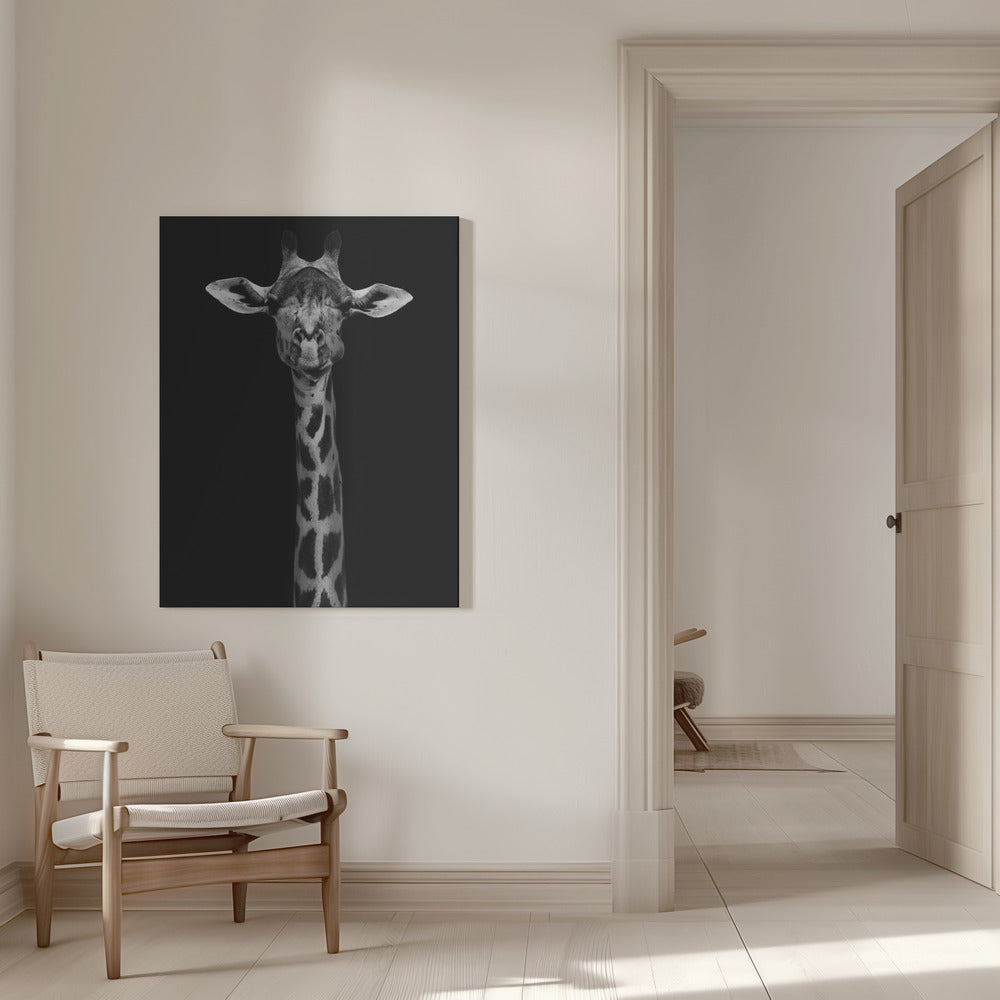 Wall Art Giraffe Portrait
