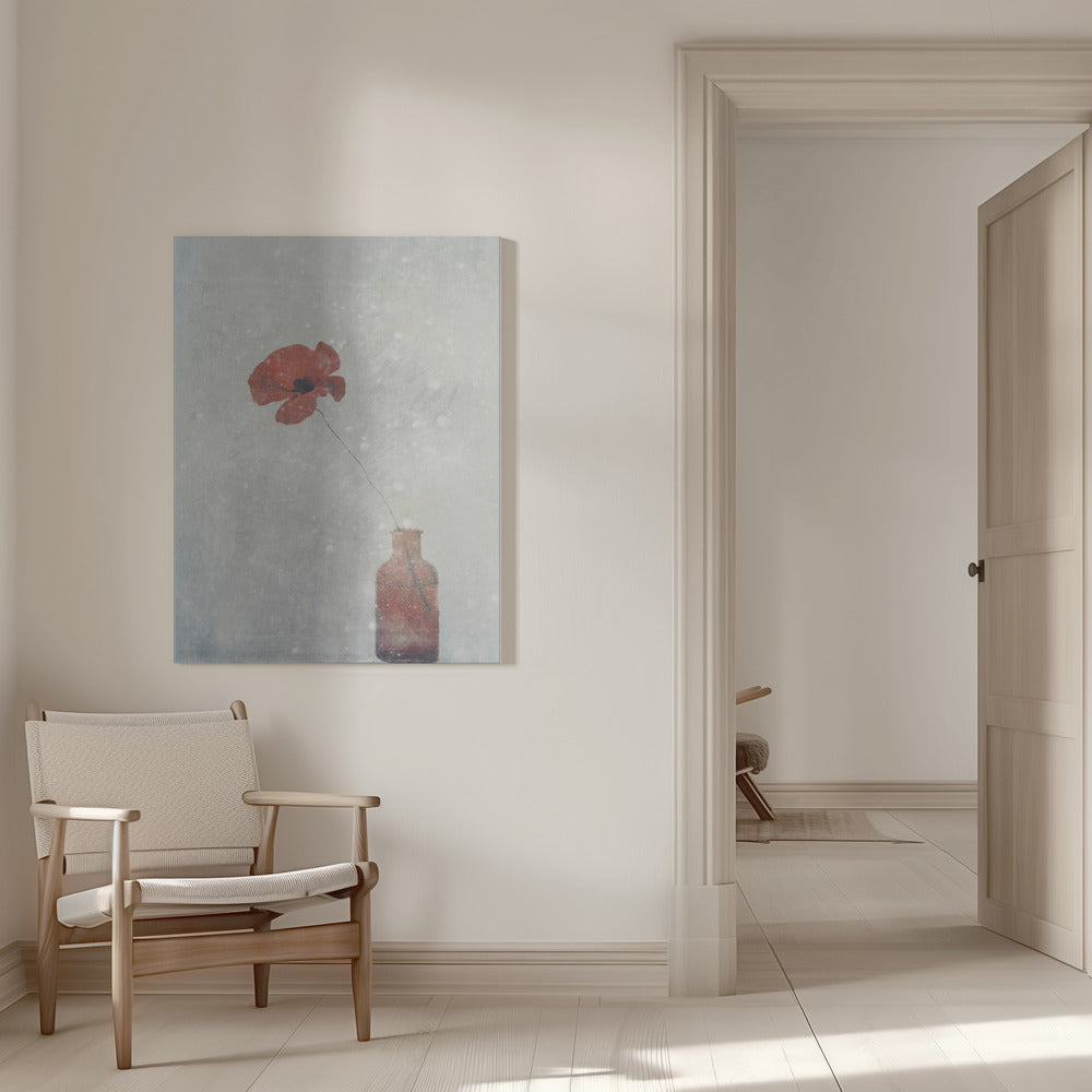 wall art Winter Poppy