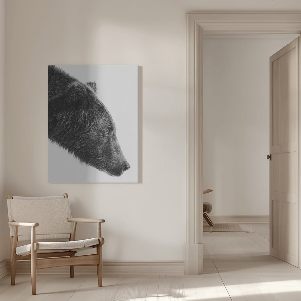 Wall art The Salmon Catcher