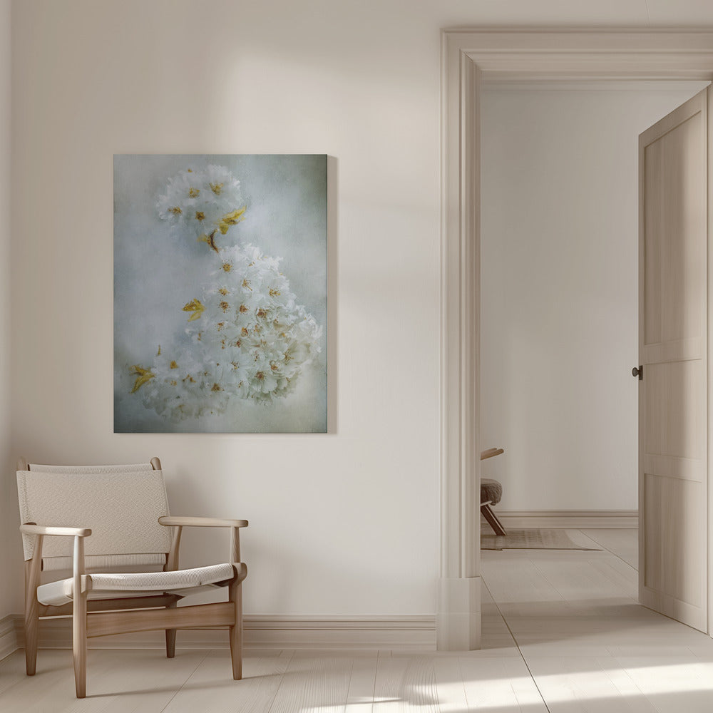 Wall Art Cherry blossoms