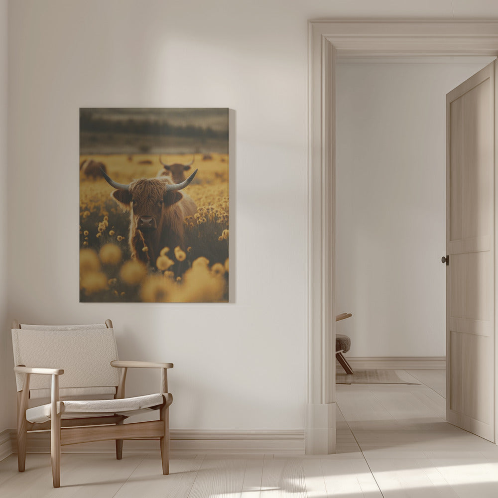 Wall Art Highland Cows In Flower Field
