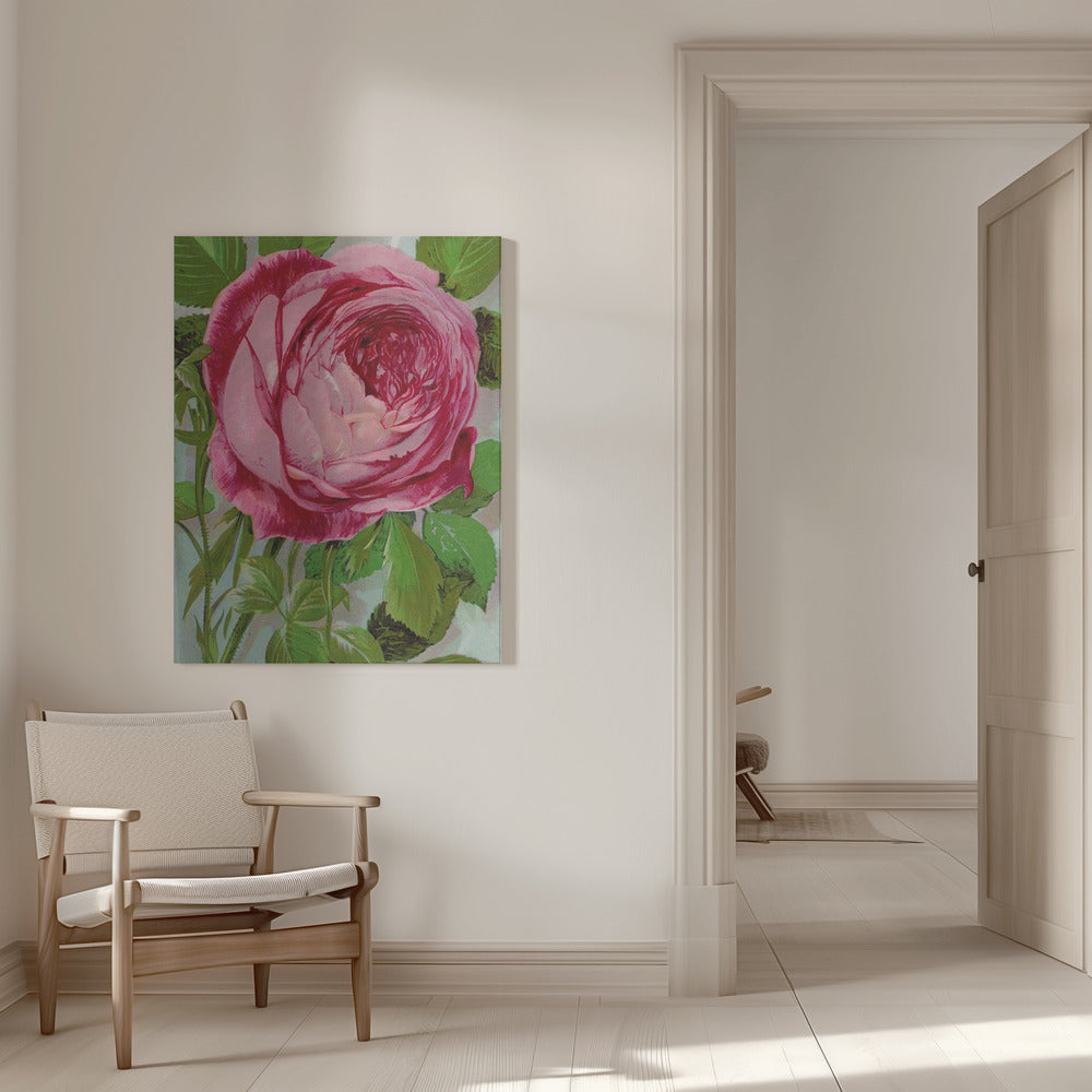 Wall Art Pink Rose, Mrs John Laing Lithograph