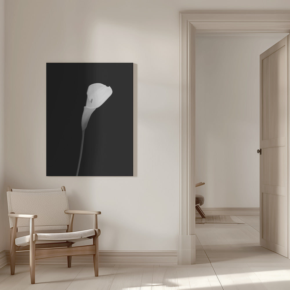 Wall art Calla | dark design