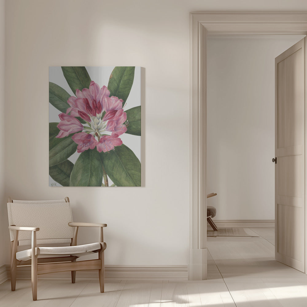 Wall Art Mountain Rose Bay (1932)