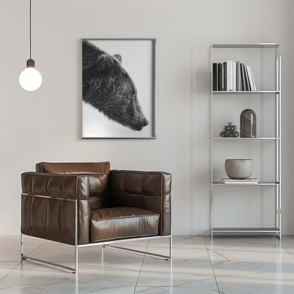 Wall art The Salmon Catcher