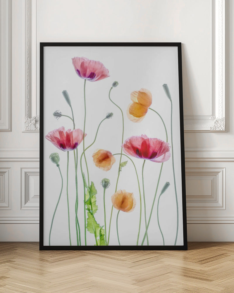 Wall art Poppies1