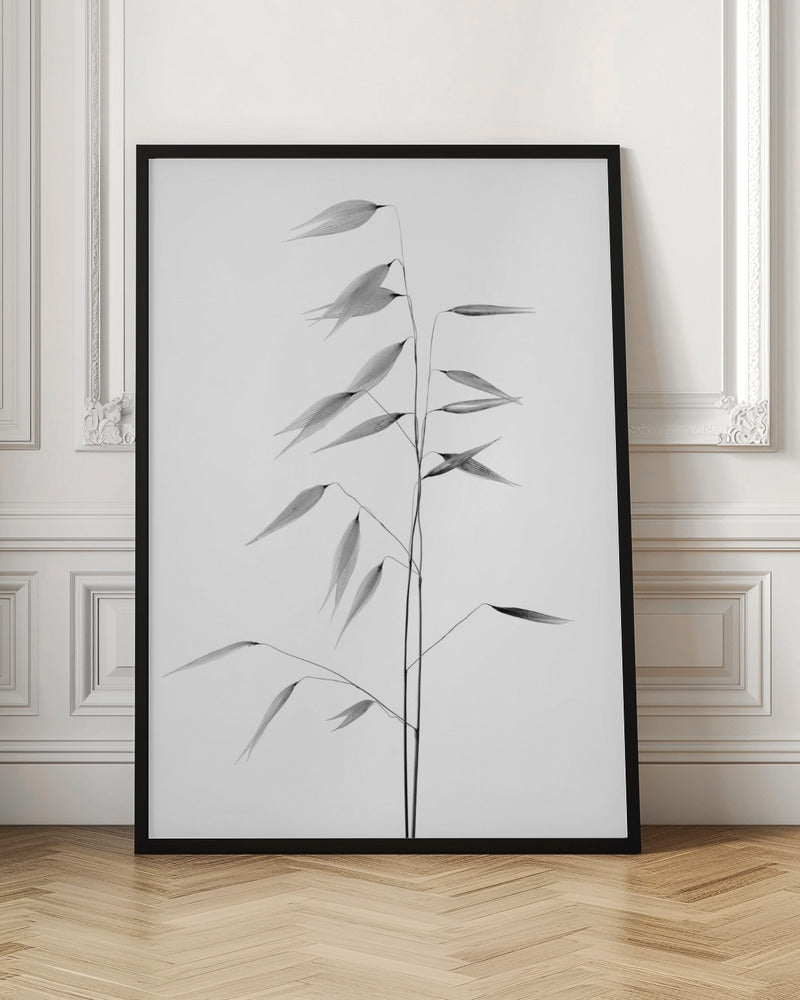 Wall art Sharpness of the nature