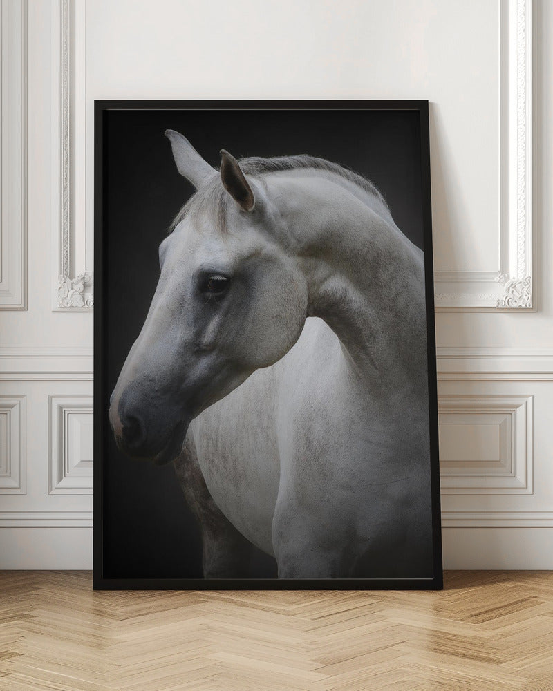 Wall art Maggie. Horse
