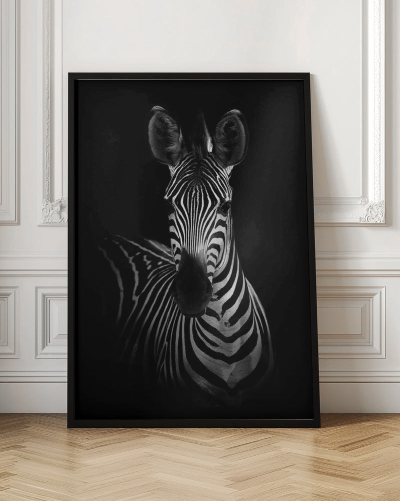Wall Art The Zebra