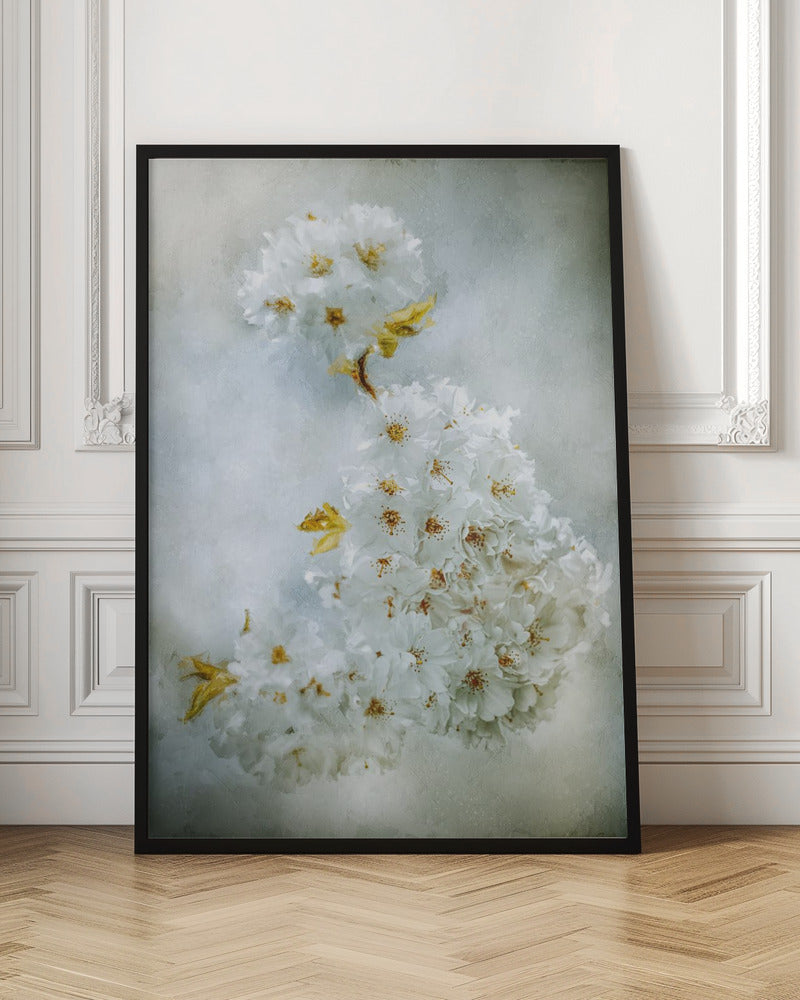 Wall Art Cherry blossoms