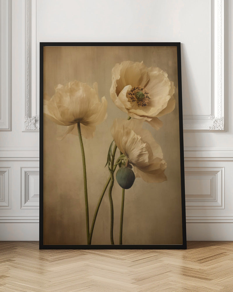 Wall Art Poppies 24