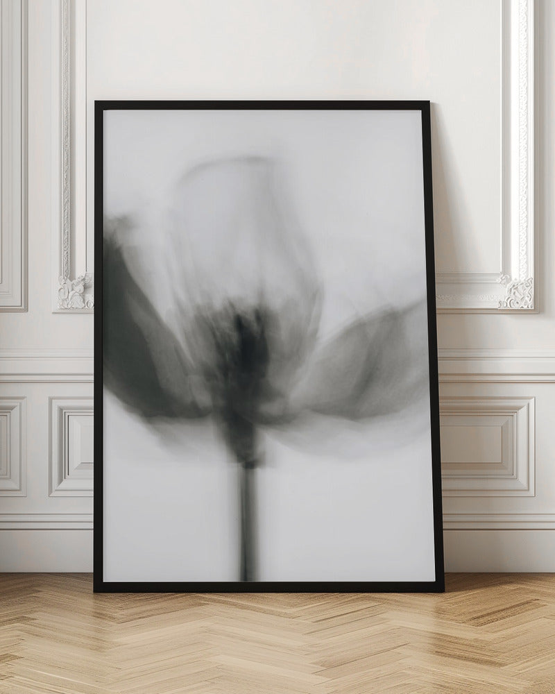 Wall art Mono Tulip